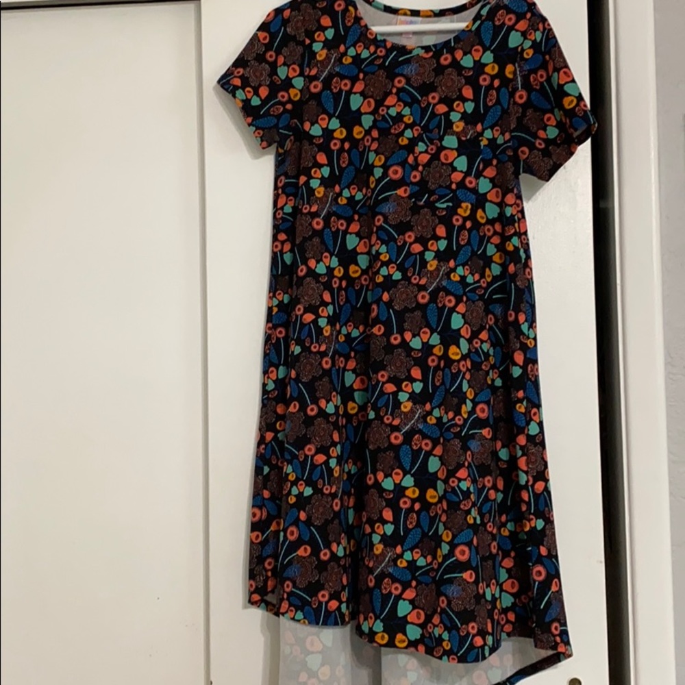 Small Lularoe Carly